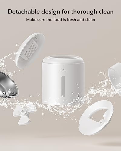 Automatic Cat Feeder