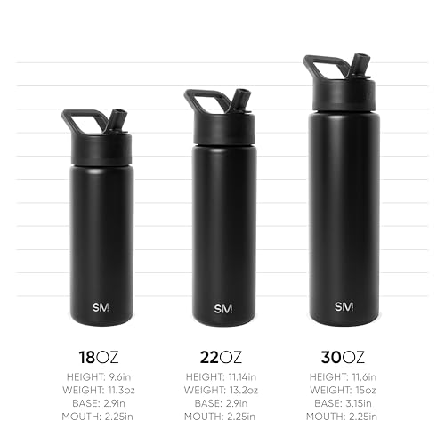 Bluey Insulated Water Bottle with Straw