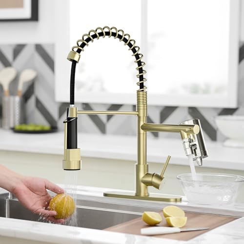 Gold Kitchen Faucet with Water Filter