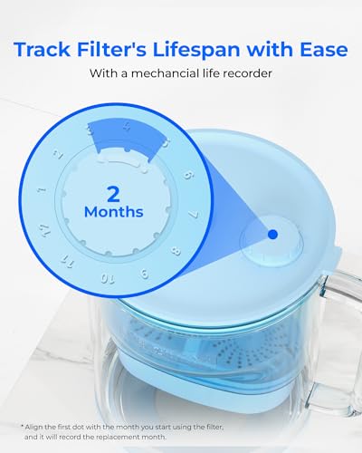 PT-09B-A 10-Cup Large Glass Alkaline Water Filter Pitcher, Blue