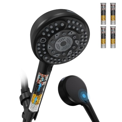 Filtered Shower Head with Handheld