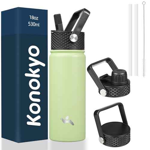 18 oz Insulated Stainless Steel Water Bottle with Straw Lid