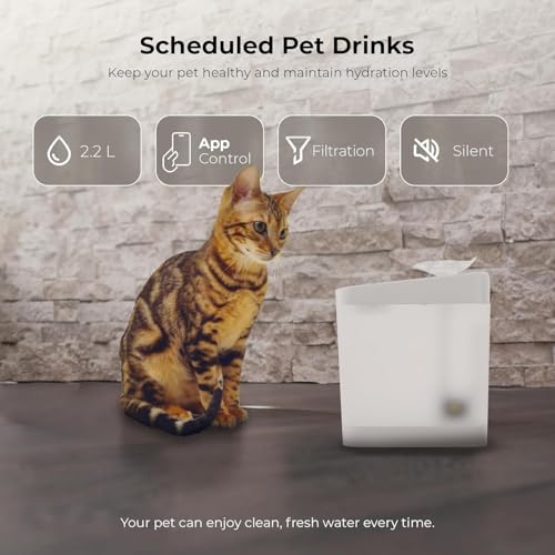 Smart Cat Water Fountain
