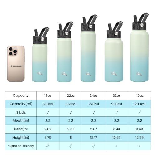 18 oz Insulated Stainless Steel Water Bottle with Straw Lid