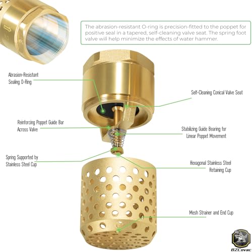 2 Inch Brass Foot Valve with Mesh Strainer