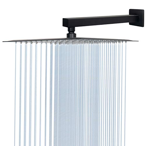 Shower Head with Extension Arm