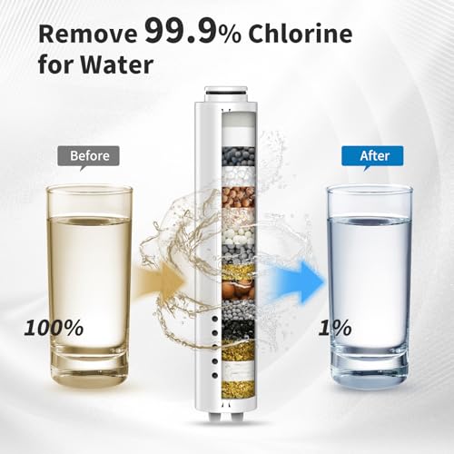 Shower Filter for Handheld Shower Head