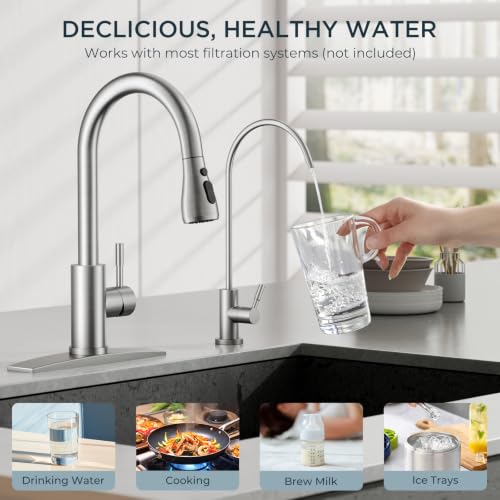 Pull Down Kitchen Faucet and Water Filter Faucet