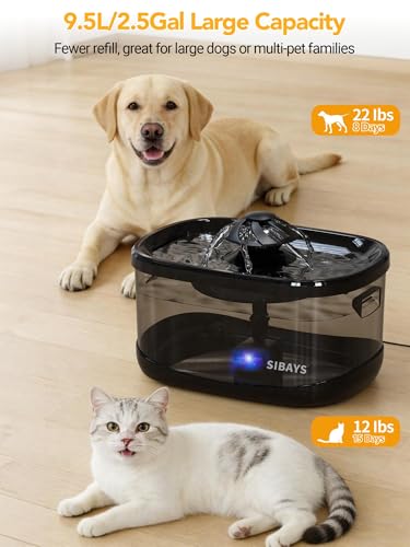 9.5L 2.5Gal Dog Water Fountain