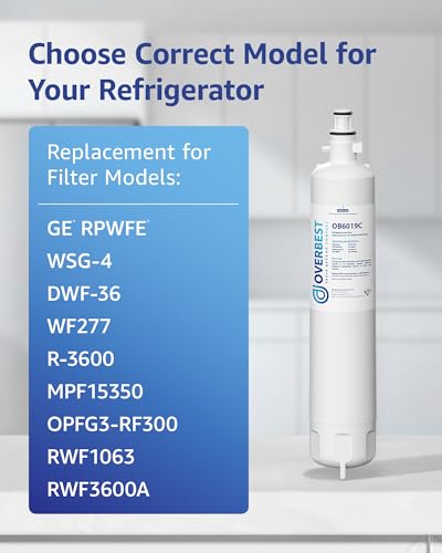 OB6019C Water Filter Replacement for GE® RPWFE® (3 Count)