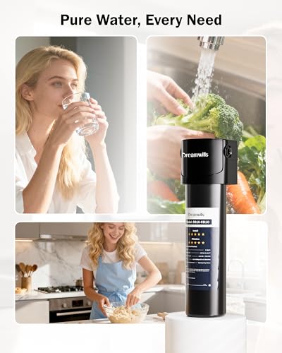 DS10 Under Sink Water Filter System