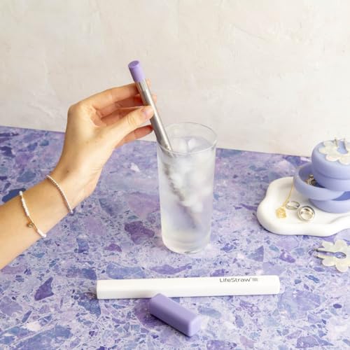 Sip Reusable Stainless Steel Water Filter Drinking Straw with Carry Case