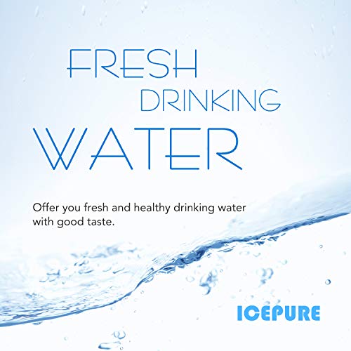 CS 52 Water Filter