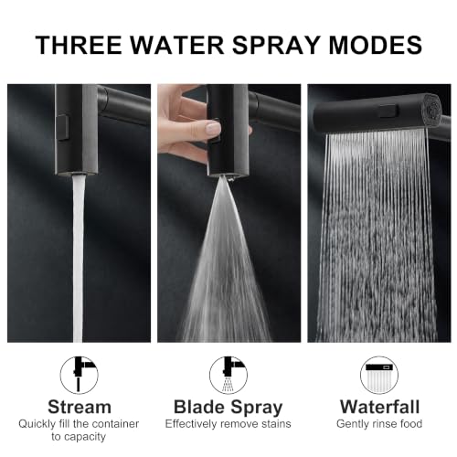 Kitchen Faucet with Pull Down Sprayer