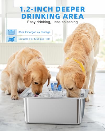 Dog Water Fountain