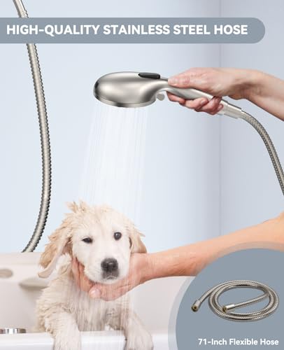 Shower Head with Handheld