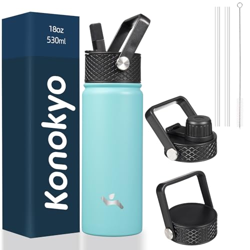 18 oz Insulated Stainless Steel Water Bottle with Straw Lid