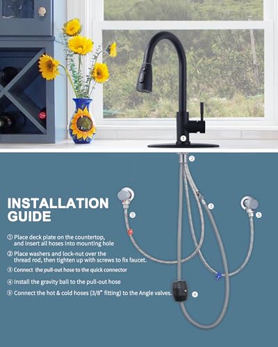 Black Kitchen Faucet with Sprayer