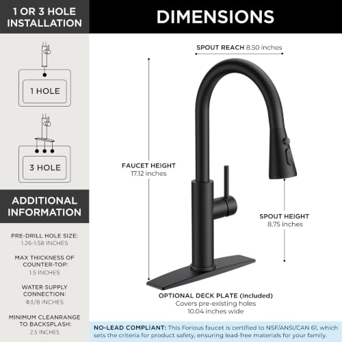 Black Kitchen Faucet with Pull Down Sprayer