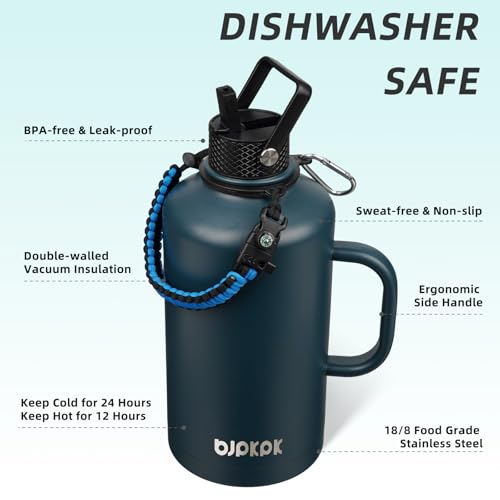 87oz Insulated Water Bottle with Straw Lid Stainless Steel Water Jug