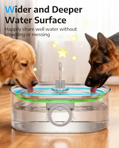 4.2Gal Dog Water Fountain for Large Dogs