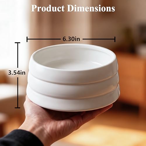 BOBO & Bowl Dog Water Bowl Food