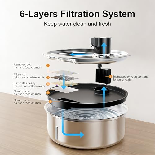 Dog Water Fountain