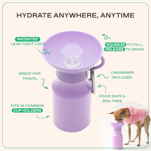 Springland 15oz Classic Portable Dog Water Bottle with Built (15 Fl Oz)