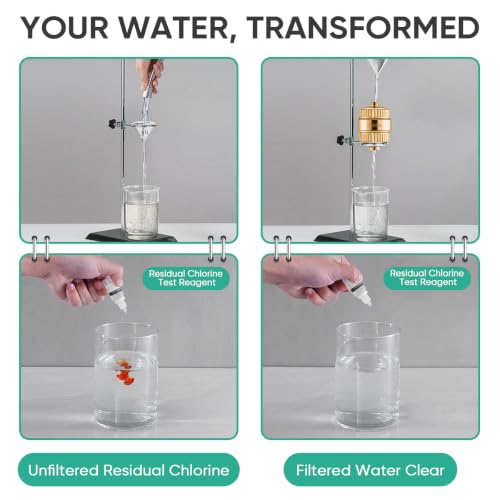 High Pressure Filtered Shower Head with Filters for Hard Water Combo