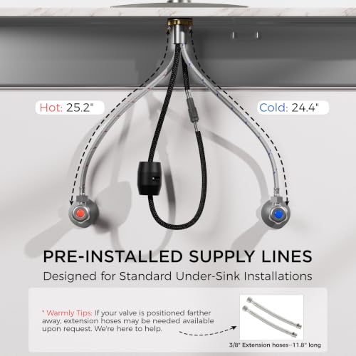 Kitchen Faucet with Pull Down Sprayer