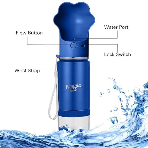 Stainless Steel Dog Travel Water Bottle (14 Fl Oz)