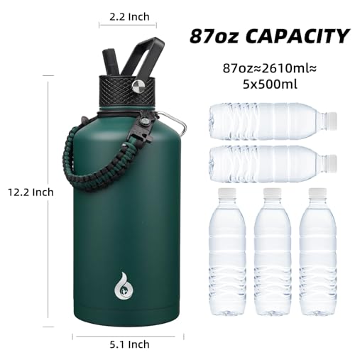 87oz Insulated Water Bottle with Straw Lid Stainless Steel Water Jug