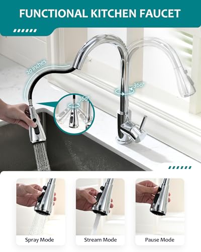 Kitchen Faucet with Pull Down Sprayer
