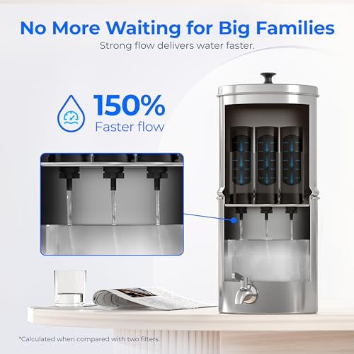 Black Water Filter (3 Count)