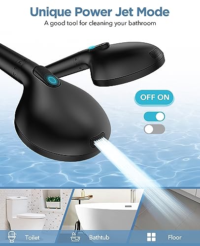 Filtered Shower Head with Handheld