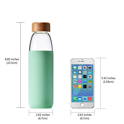 18 Oz Borosilicate Glass Water Bottles with Bamboo Lid