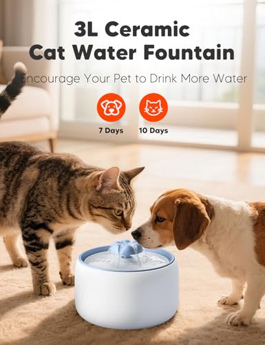 Premium Ceramic Cat Water Fountain W03 Lite