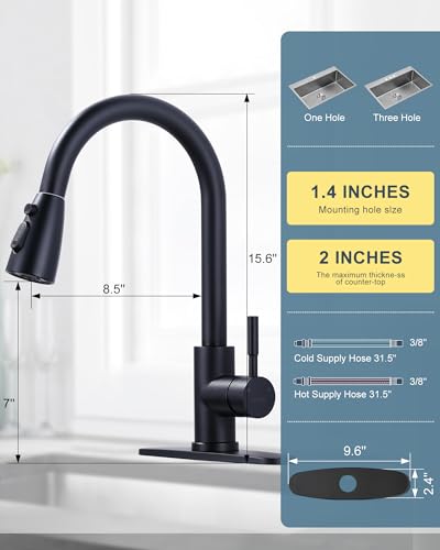 Black Kitchen Faucet with Sprayer