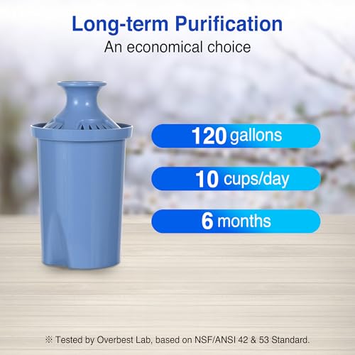 Long Lasting Water Filters Compatible Brita Filter Replacement Reduces Lead (2 Count)