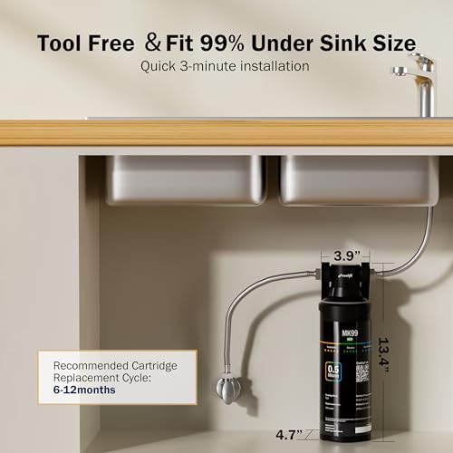 Under Sink Water Filter System