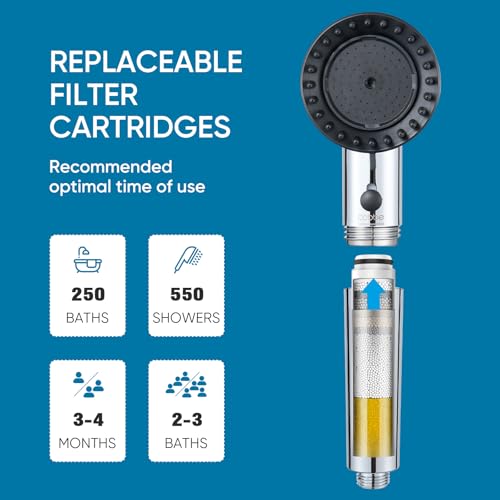 Filtered Shower Head with Handheld