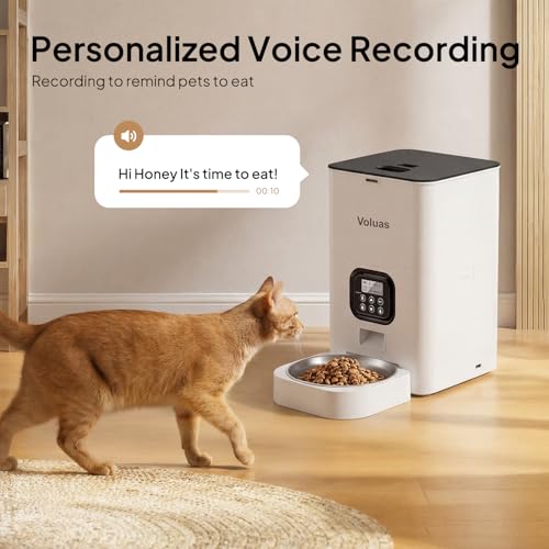 Automatic Cat Feeder