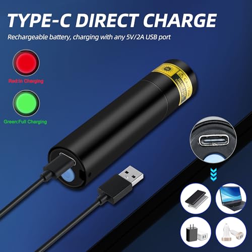 UV Flashlight 395nm Black Light Pocket Woods Lamp Blacklight