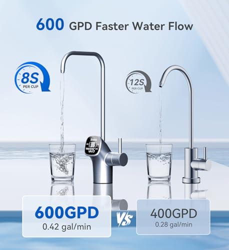 600 GPD Reverse Osmosis System