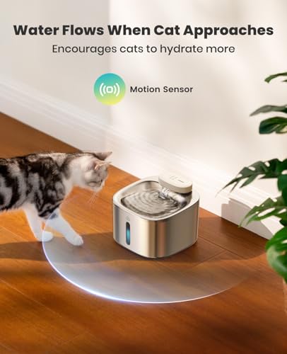 Wireless Cat Water Fountain