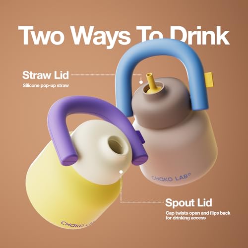 Water Bottle with Straw and Carry Handle 33oz