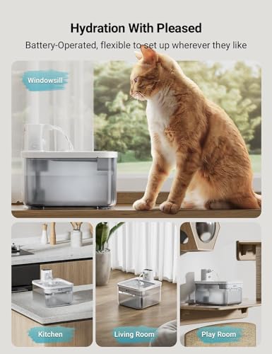 Cat Water Fountain Cordless