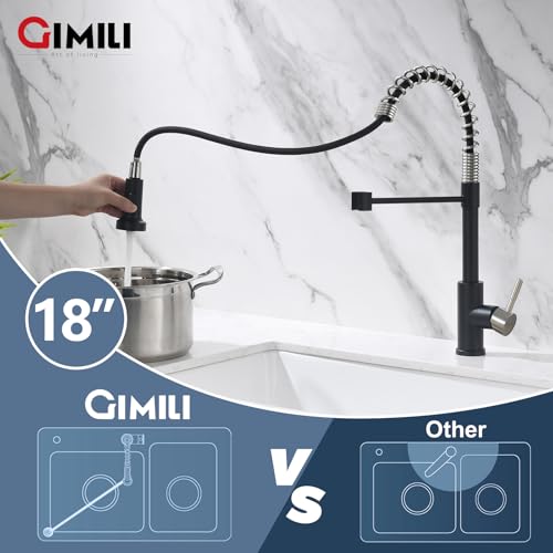 Kitchen Faucet with Pull Down Sprayer Black and Nickel