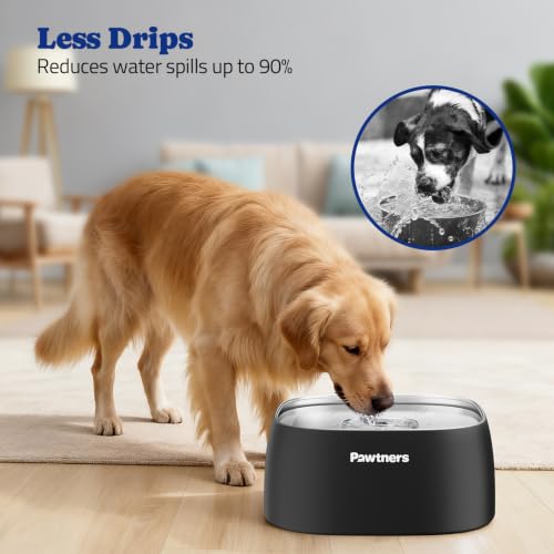 All Stainless Steel Dog Water Bowl No Spill