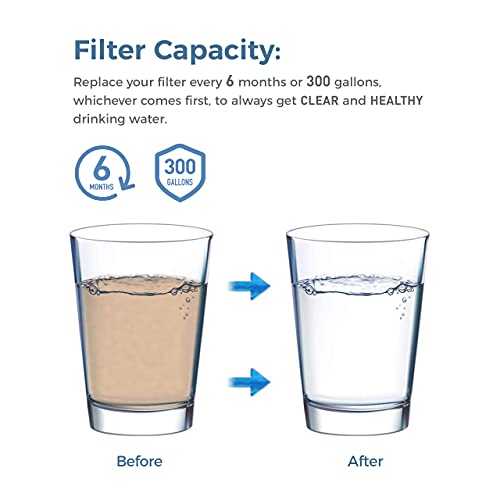 EDR3RXD1 Water Filter Replacement